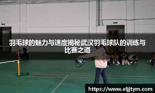 羽毛球的魅力与速度揭秘武汉羽毛球队的训练与比赛之道